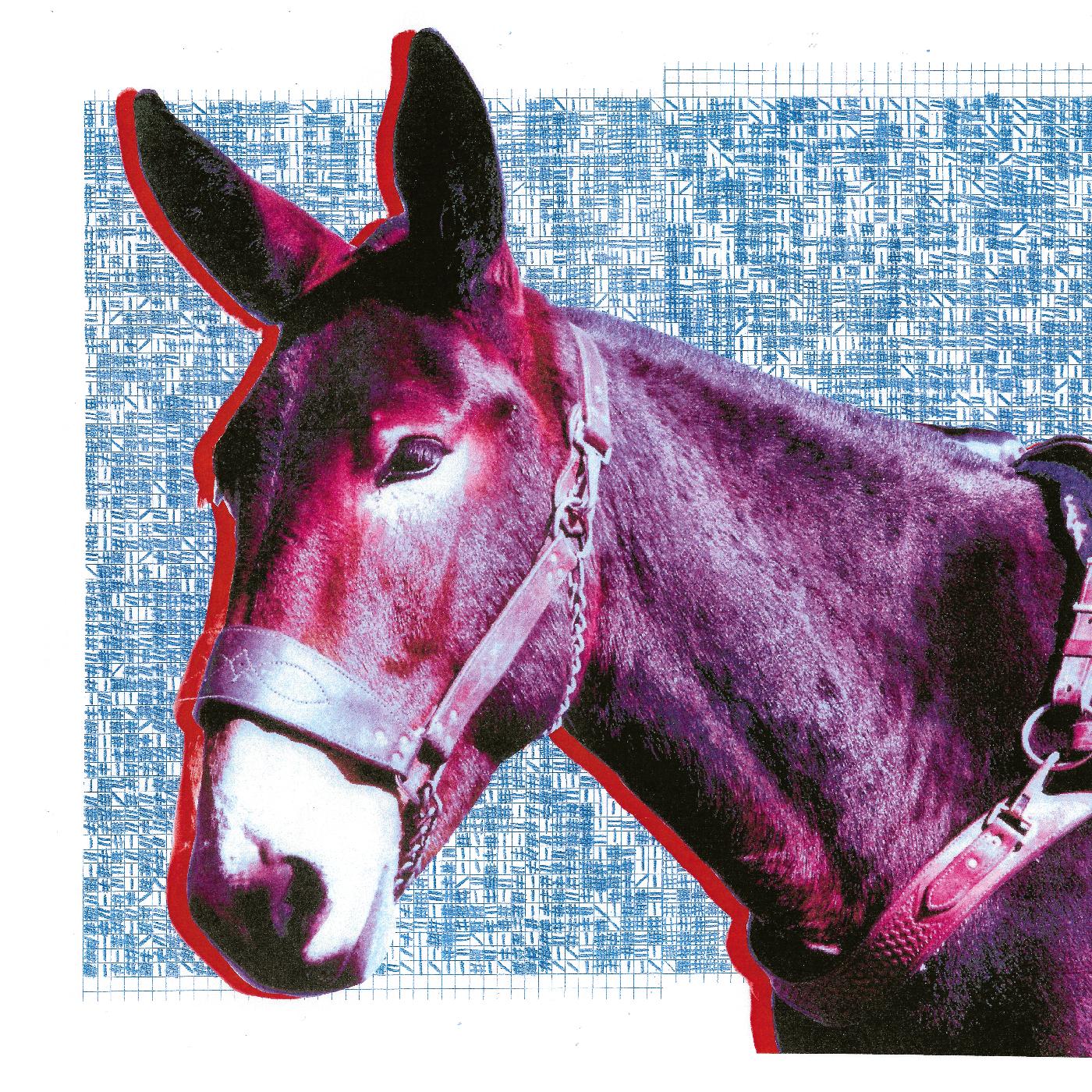 Protomartyr - Ultimate Success Today (VINYL) | Mint (M) Mint (M)