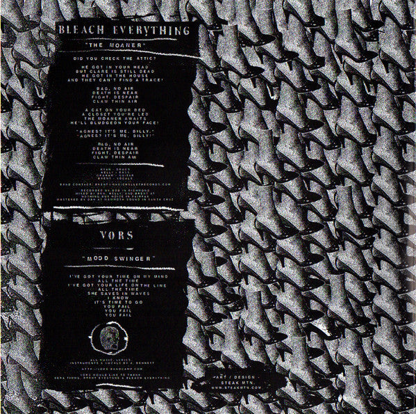 Bleach Everything / VORS – Split (VINYL 7") | Mint (M) Mint (M)