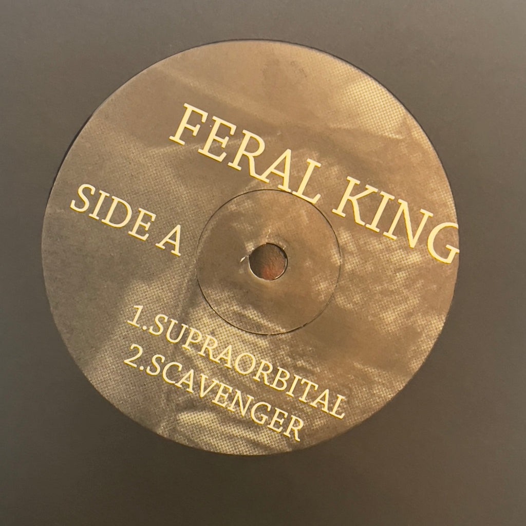 Feral King / Lonely Ghost Parade *LIMITED TO 20 ALTERNATE RELEASE COVER* (VINYL 7") | Mint (M) Mint (M)