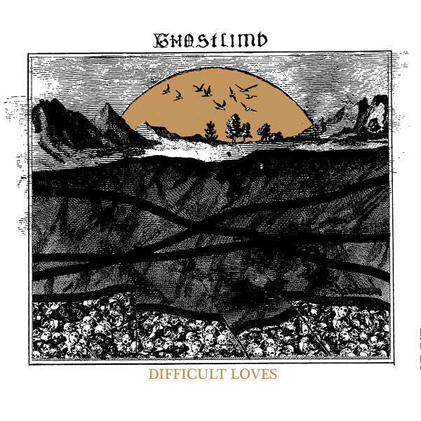 Difficult Loves (VINYL) | Near Mint (NM or M-)