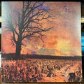 Ed Gein - It's A Shame... / 3 Song Demo (GREY/BROWN SPLIT VINYL) | Near Mint (NM or M-)