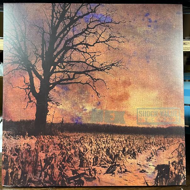 Ed Gein - It's A Shame... / 3 Song Demo (GREY/BROWN SPLIT VINYL) | Near Mint (NM or M-)