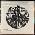 Stay Buried (GOLD FLAKE COLOR VINYL) | Near Mint (NM or M-) Mint (M)
