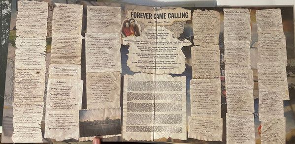 Forever Came Calling - What Matters Most *MUSTARD SPLATTER* | Near Mint (NM) Near Mint (NM)