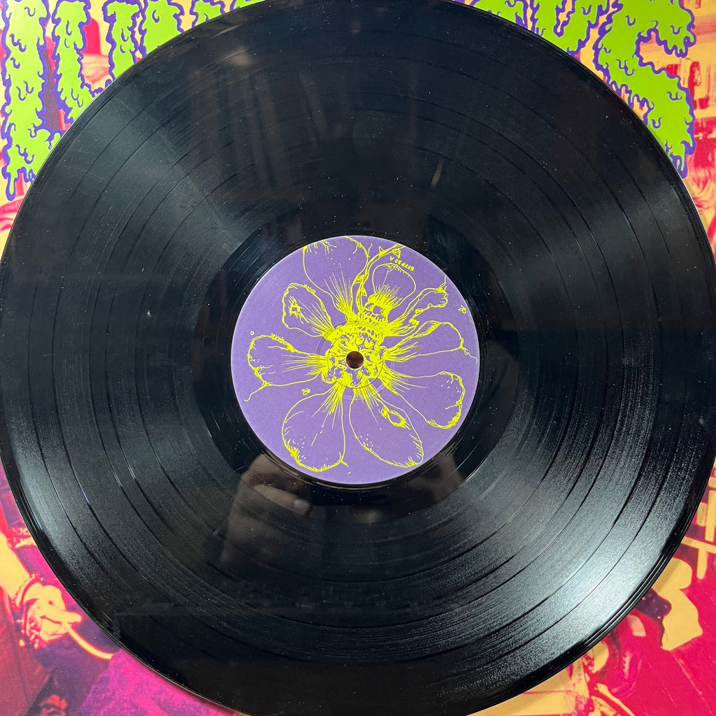 Lunachicks - Babysitters On Acid (VINYL) | Very Good (VG) Very Good Plus Plus (VG++)