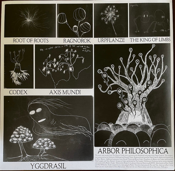 Radiohead - The King Of Limbs (VINYL) | Mint (M) Mint (M)