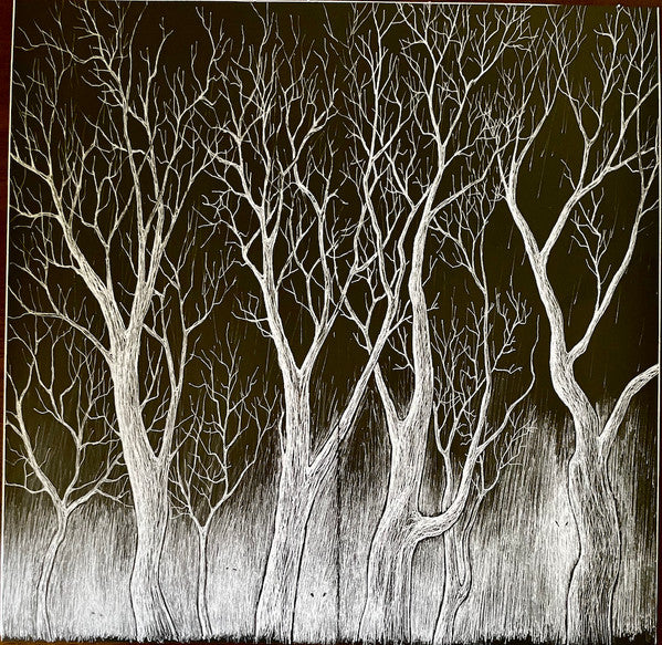 Radiohead - The King Of Limbs (VINYL) | Mint (M) Mint (M)