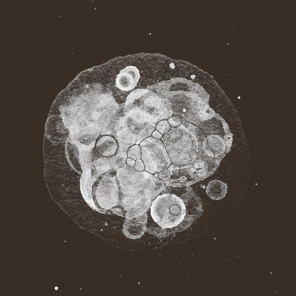 Moon Field |