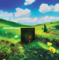 Rainbow Kitten Surprise - Bones (VINYL) | Mint (M) Mint (M)