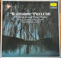 Raindrop Prelude: Chopin's Greatest Piano Works | Near Mint (NM) Near Mint (NM)