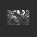 Seb-i Yelda |