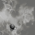 Deep Below (Gray Vinyl) |