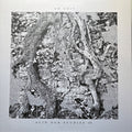Acid Dub Studies III (VINYL) | Mint (M) Mint (M)