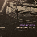 Infamous Lost Tracks |