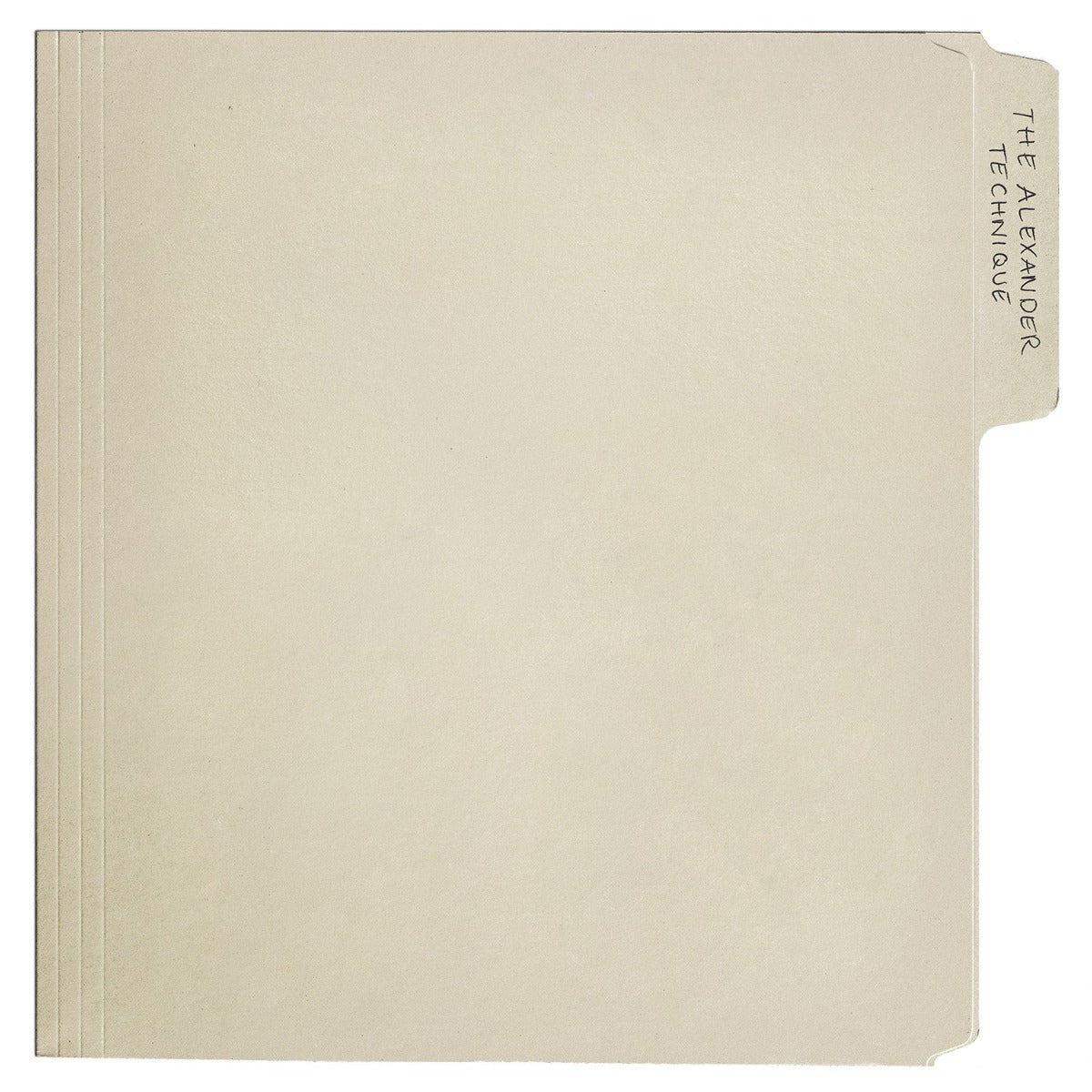 Rex Orange County - The Alexander Technique [Explicit Content] (Gatefold LP Jacket, Poster) (2 Lp's) | Mint (M) Mint (M)