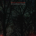Pythagorean Dream (VINYL) | Mint (M) Mint (M)