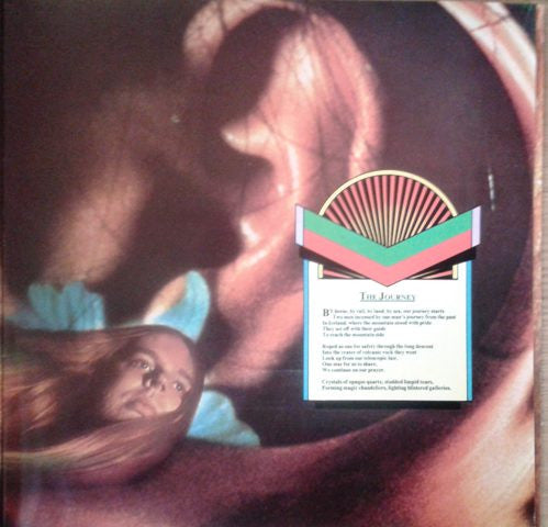 Rick Wakeman - Journey To The Centre Of The Earth | Very Good Plus (VG+) Very Good (VG)