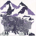Non Meters Volume 1 |