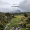 Topinambur |