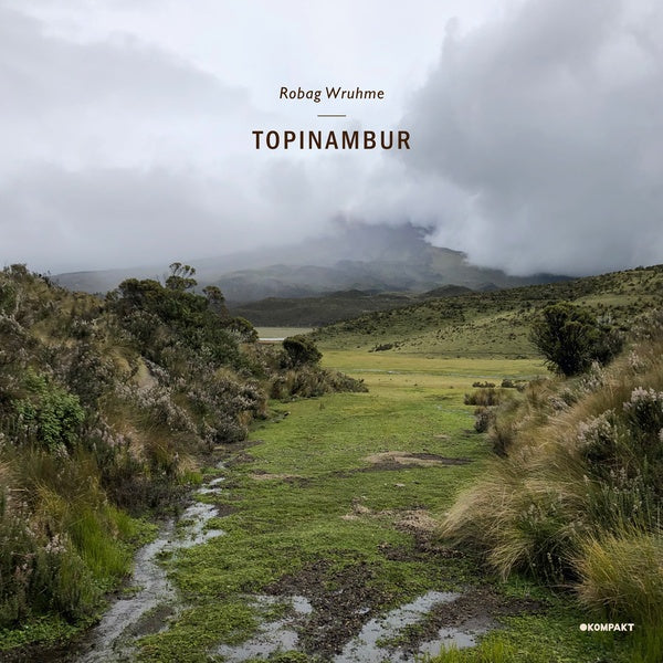 Topinambur |