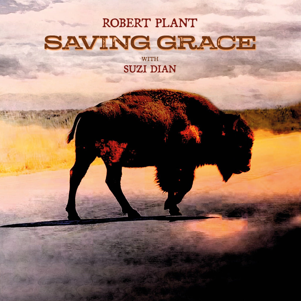 Saving Grace (VINYL) | Mint (M) Mint (M)