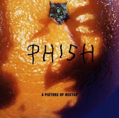 A Picture Of Nectar (B&M EXCLUSIVE: GRAPE APPLE PIE VINYL) | Mint (M) Mint (M)