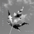 Low Crimes / Silver Leaf *GREY SWIRL*(VINYLY 7") | Mint (M) Mint (M)