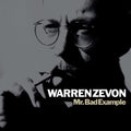 Mr. Bad Example (RKTBR25) (VINYL) | Mint (M) Mint (M)