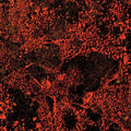 King Gizzard & The Lizard Wizard - Murder Of The Universe (Live at Red Rocks 2022) (TRANSLUCENT WHITE SPARKLE VINYL) | Mint (M) Mint (M)