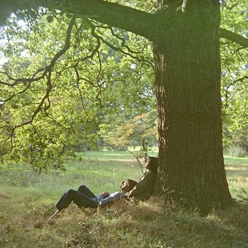 Plastic Ono Band (180 GRAM VINYL) | Mint (M) Mint (M)