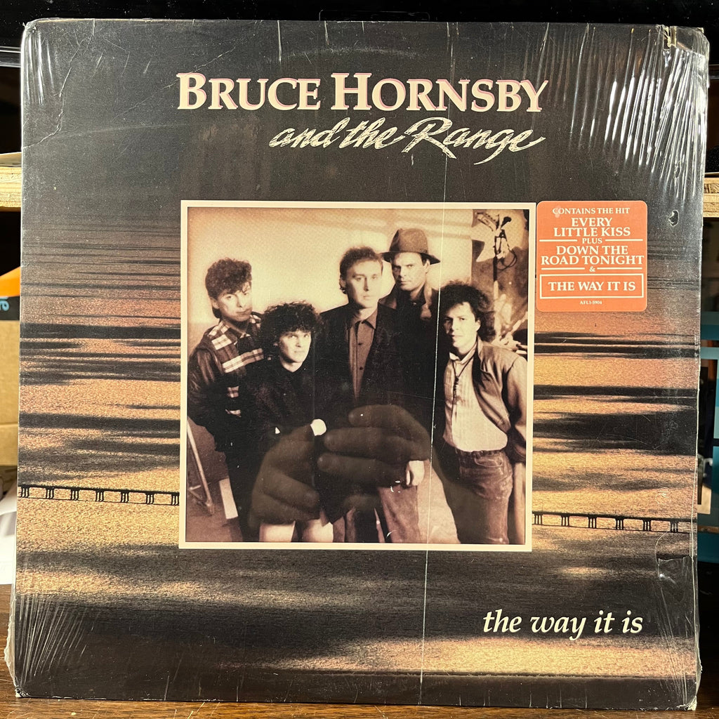 The Way It Is (VINYL) | Mint (M) Excellent (EX)