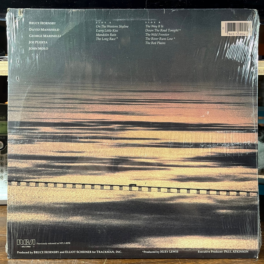 The Way It Is (VINYL) | Mint (M) Excellent (EX)