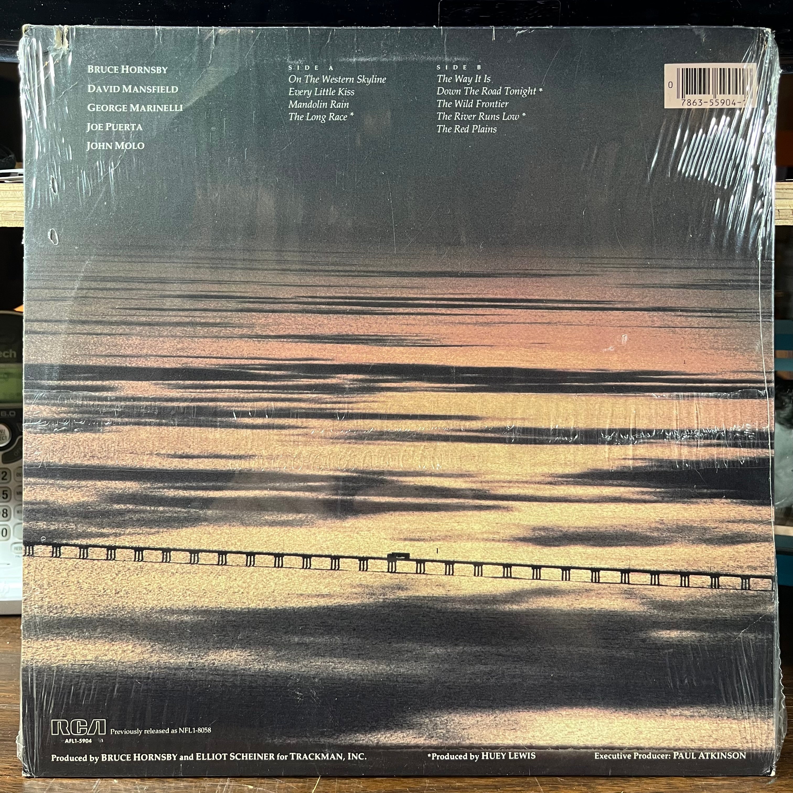 The Way It Is (VINYL) | Mint (M) Excellent (EX)