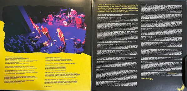 The Feelies - Some Kinda Love Performing The Music Of The Velvet Underground | Mint (M) Mint (M)