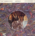 The Marshmallow Overcoat - Try On...The Marshmallow Overcoat (LP) | Excellent+ (EX+) Near Mint (NM)