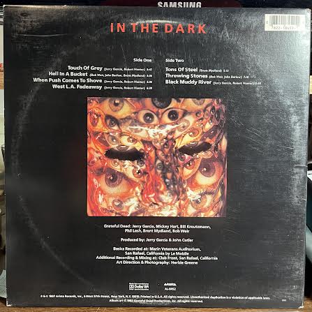 The Grateful Dead - In The Dark (VINYL) | Excellent (EX) Very Good Plus (VG+)