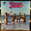 The Bermuda Jam - The Bermuda Jam (VINYL) | Excellent (EX) Very Good Plus (VG+)