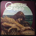 The Grateful Dead - Wake Of The Flood (VINYL) | Excellent (EX) Excellent+ (EX+)