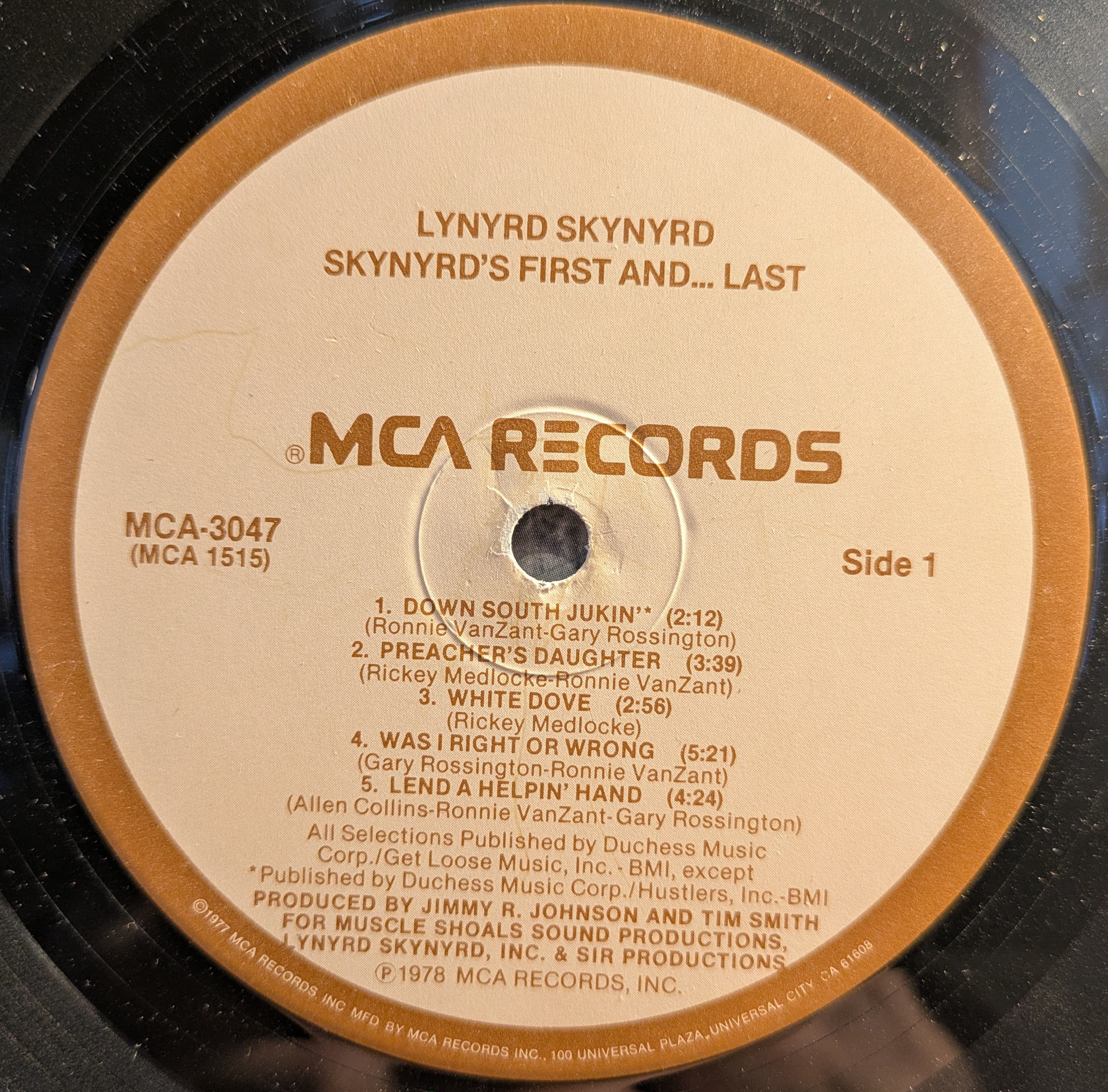 Lynyrd Skynyrd - Skynyrd's First And... Last (VINYL) | Excellent (EX) Very Good Plus (VG+)