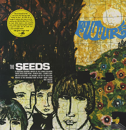 The Seeds - Future *ITALY / 2005* | Excellent (EX) Near Mint (NM)