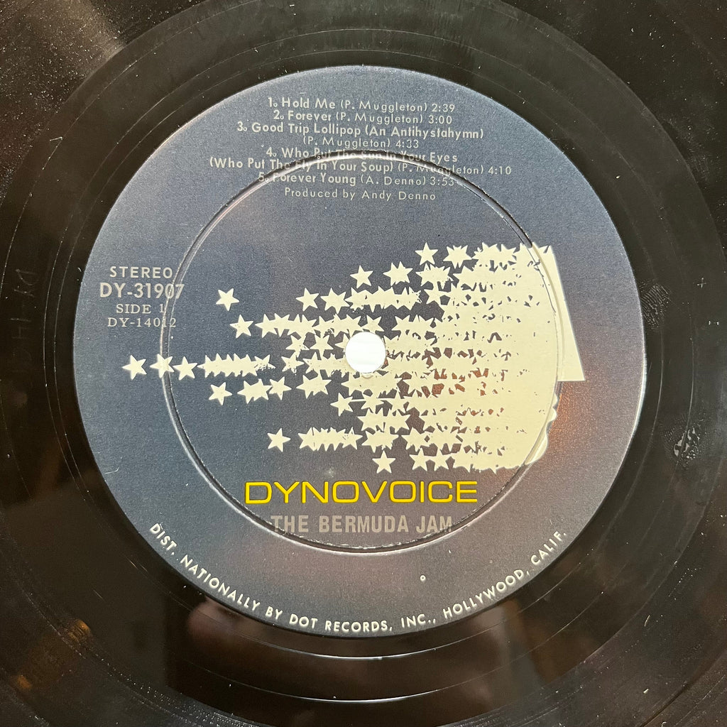 The Bermuda Jam - The Bermuda Jam (VINYL) | Excellent (EX) Very Good Plus (VG+)