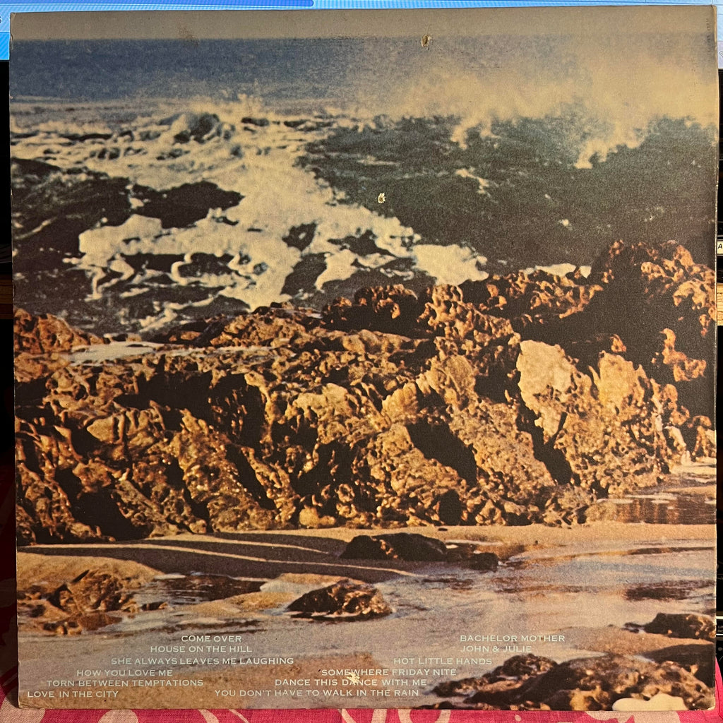 The Turtles - Turtle Soup *MONARCH* | Excellent (EX) Near Mint (NM)