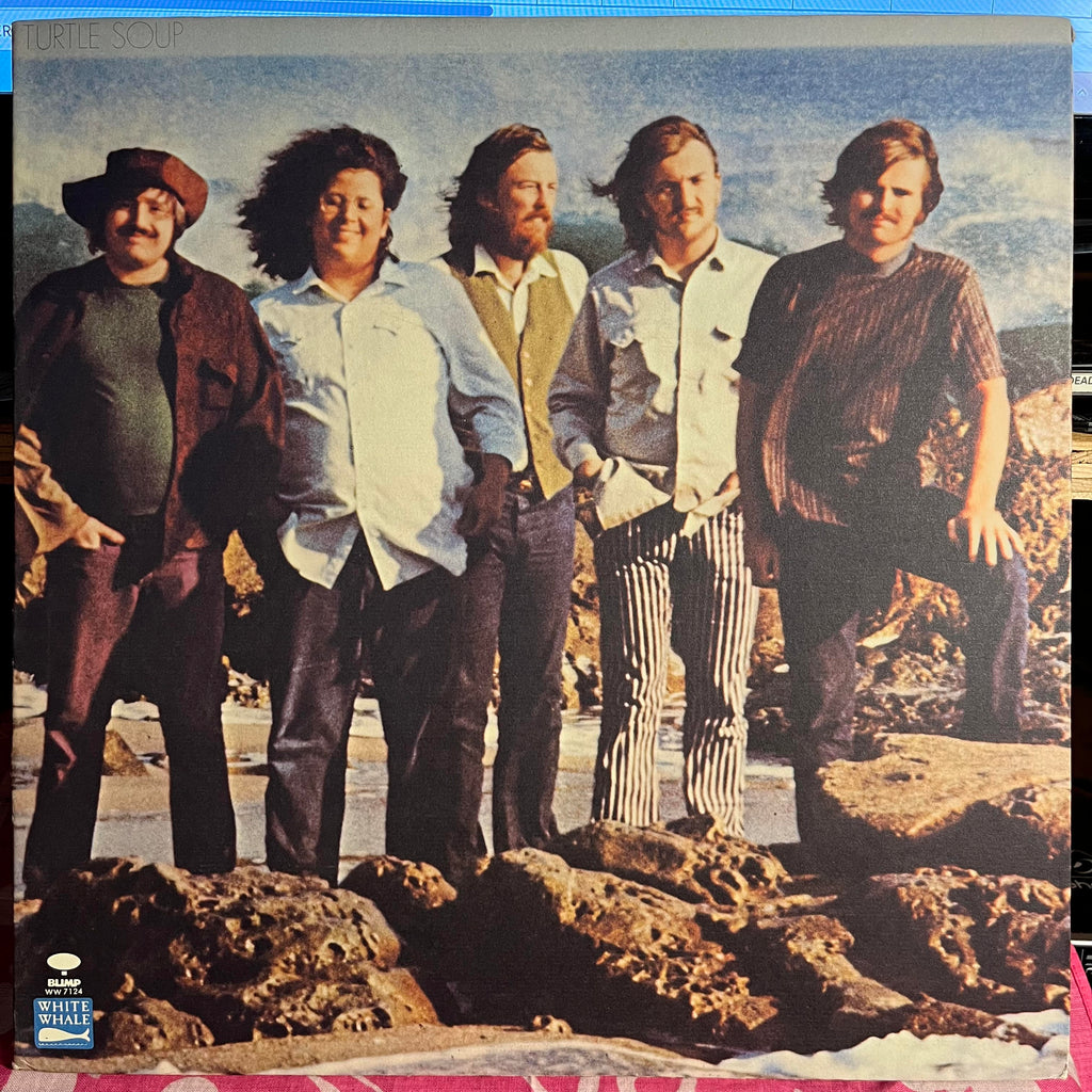 The Turtles - Turtle Soup *MONARCH* | Excellent (EX) Near Mint (NM)