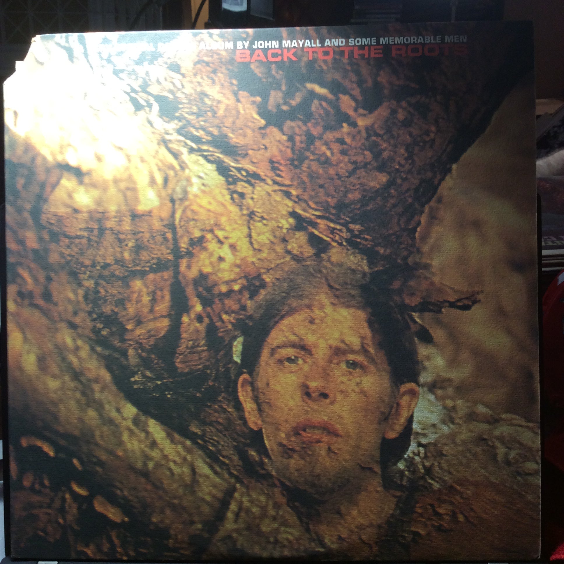 John Mayall - Back To The Roots (2xVINYL) | Excellent (EX) Excellent (EX)