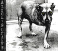 Alice In Chains - Alice In Chains | Near Mint (NM) Near Mint (NM)