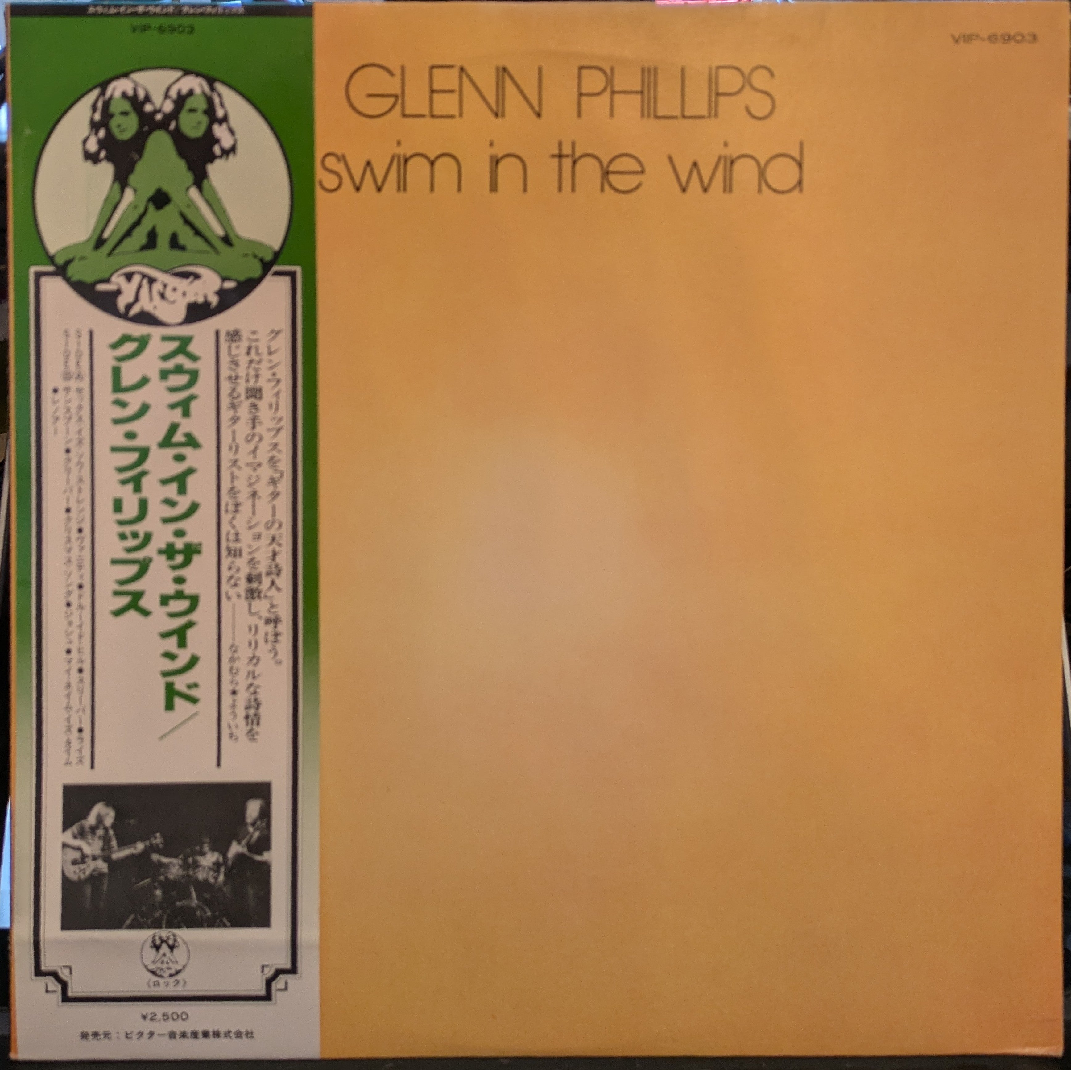 Glenn Phillips - Swim In The Wind (VINYL - JAPAN W OBI) | Near Mint (NM) Near Mint (NM)