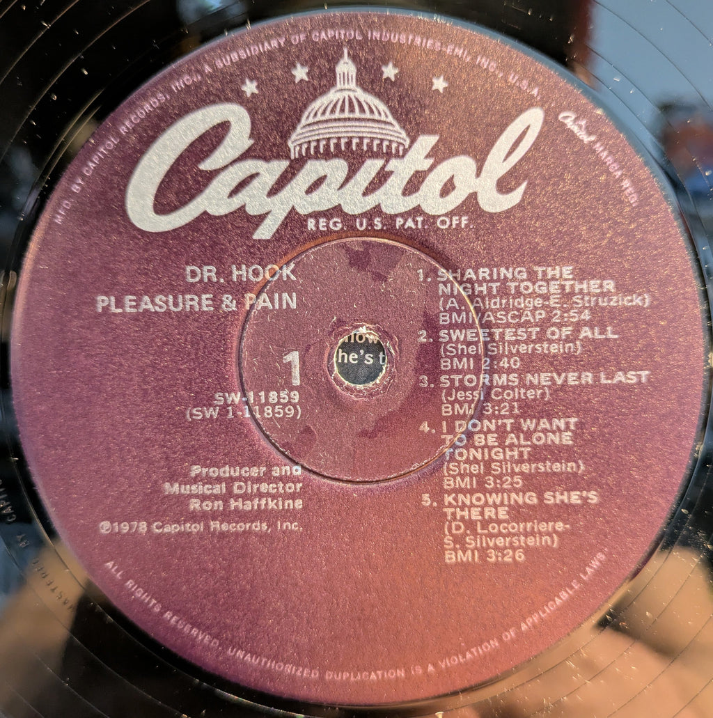 Dr. Hook - Pleasure & Pain (VINYL) | Near Mint (NM or M-) Excellent (EX)