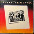 Lynyrd Skynyrd - Skynyrd's First And... Last (VINYL) | Near Mint (NM) Near Mint (NM)