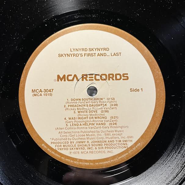 Lynyrd Skynyrd - Skynyrd's First And... Last (VINYL) | Near Mint (NM) Near Mint (NM)