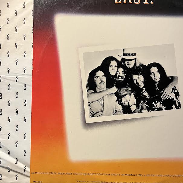 Lynyrd Skynyrd - Skynyrd's First And... Last (VINYL) | Near Mint (NM) Near Mint (NM)
